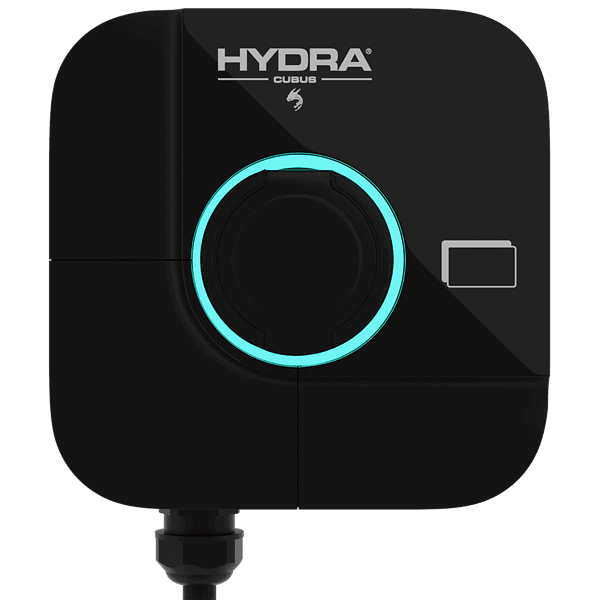 Hydra-Cubus-socket