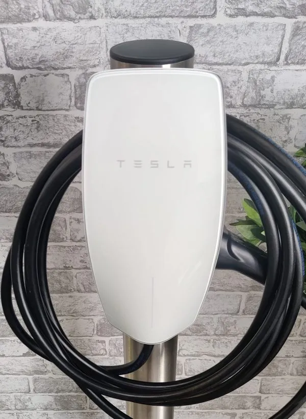 IMG_20210919_141618bbb-scaled-600x821 IMG_20210919_141618bbb-scaled-600x821