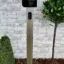 wbc-sqroot-550x1024