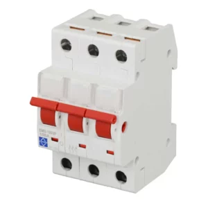 Lewden Ems 1003p A