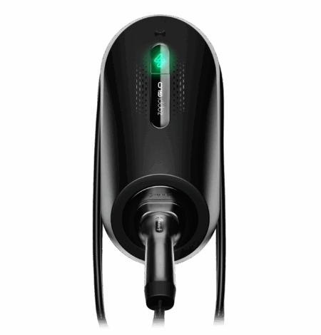 New Zappiglo Chargers