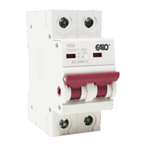 Dsv2100 (2)