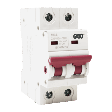 Dsv2100 (2)
