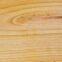Larch sample