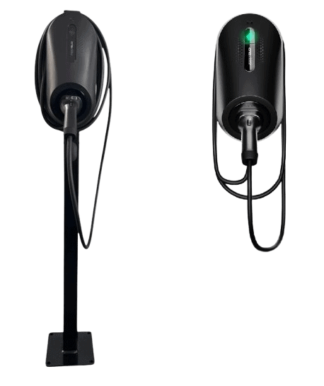 Zappiglo b 1 (2)